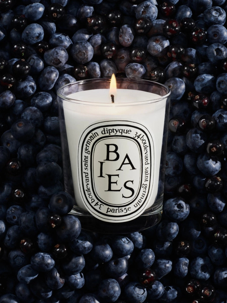 Diptyque Baies Scented Candle, 190g