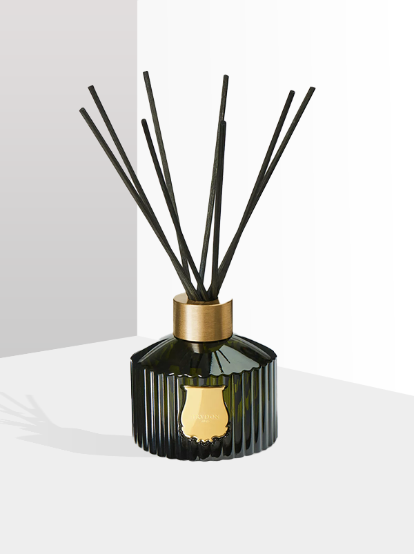 TRUDON Ernesto Reed Diffuser, 350ml