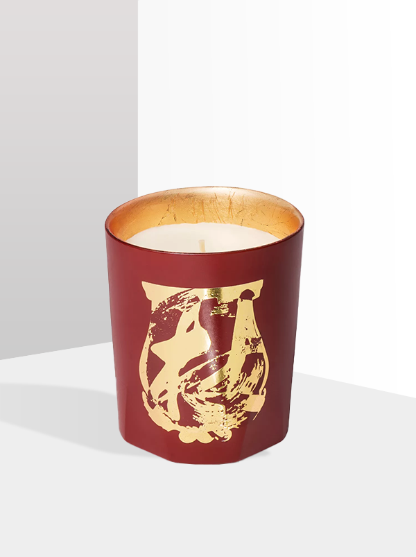 TRUDONMasterTsengEarthToEarthscentedcandle800g.png